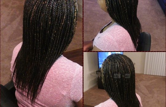 Individual Braids with Tapered Ends - Black (color 1B) with Blond Highlights (color 27)