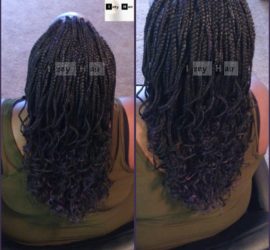 Individual (Box) Braids Curled With Flexi Rods - Colors Black and PURPLE