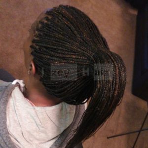 Protective Styling Photos, braids - Izey Hair Las Vegas, NV