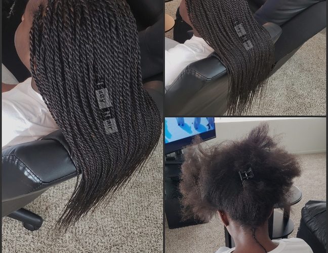 Senegalese Twist Wig | Kinky Twist Wigs – Express Wig Braids™ – tagged 