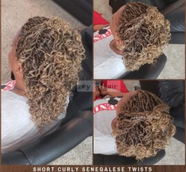 Short Senegelese Twists - Blond (Color 27)