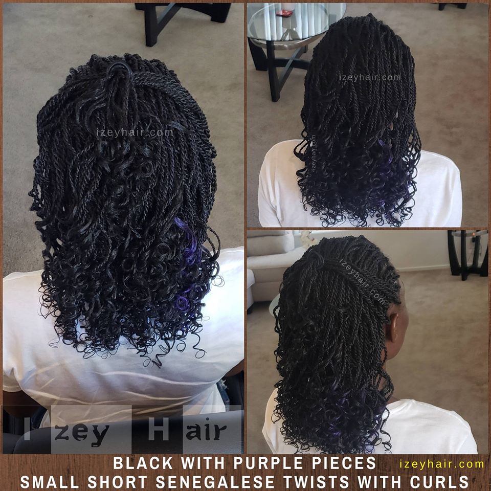 Small Curly Senegalese Twist With Purple Highlights