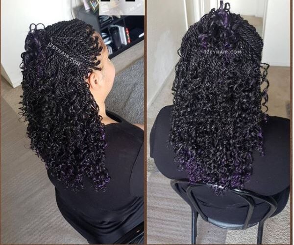 Black Curly Senegalese Twists with Dark Purple Highlights