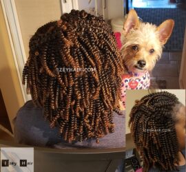 Crochet-Braids-Mobile-Stylist-Vegas-Braider-Cute-Dog